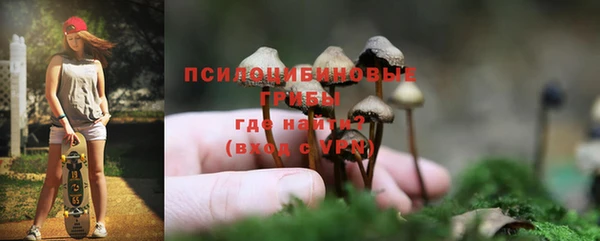 кокаин Богданович