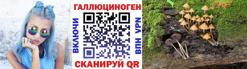 Псилоцибиновые грибы мухоморы  Купить  Мурманск 